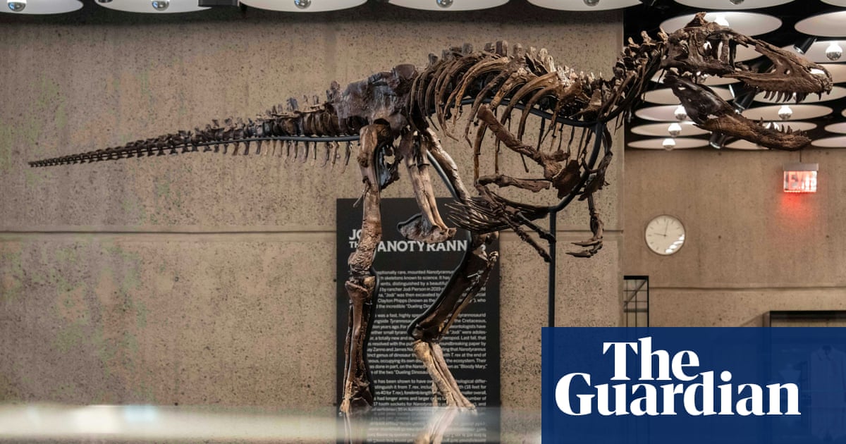 Rare Nanotyrannus Skeleton Sells for $47.3 Million at New York Auction