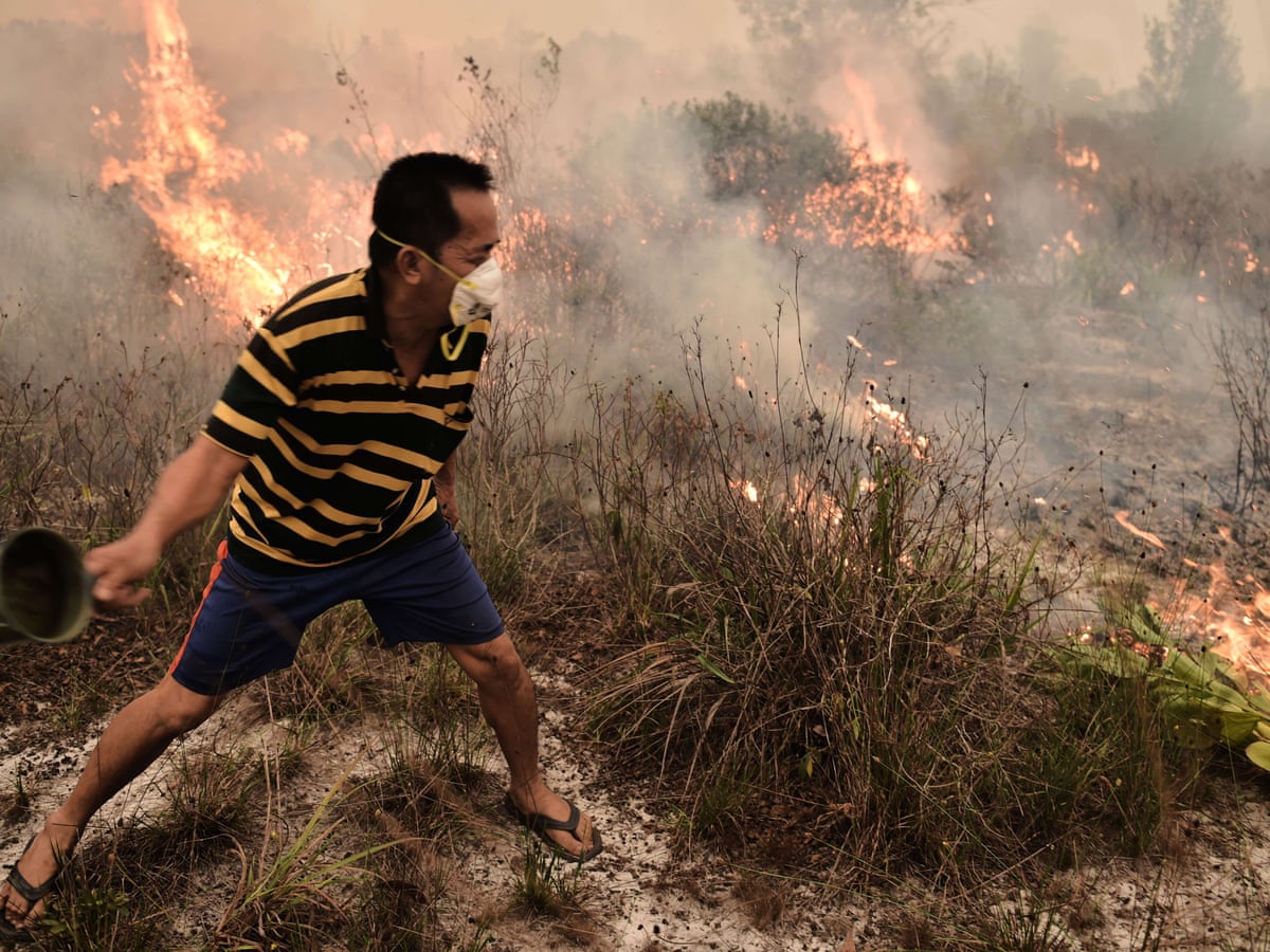 Indonesia's forest fires: everything you need to know | Guardian  sustainable business | The Guardian