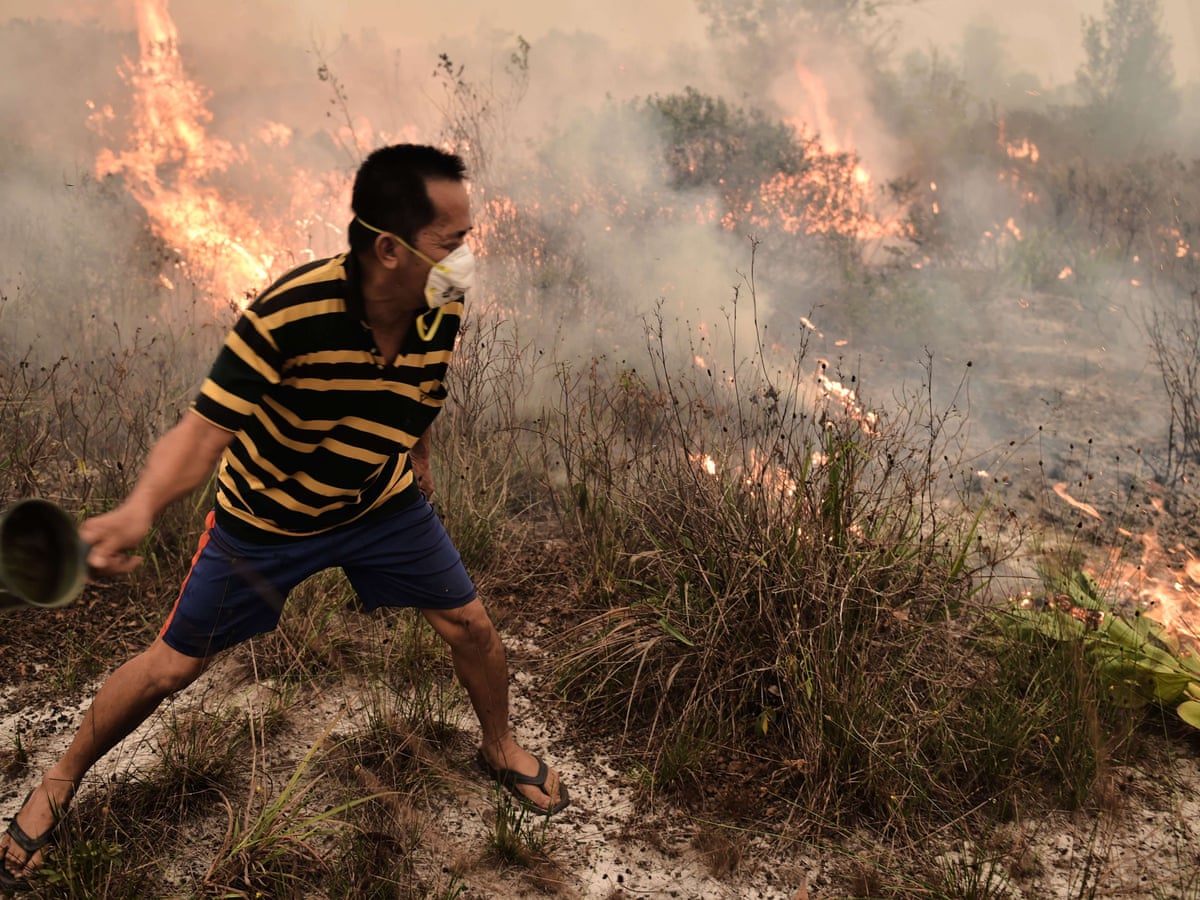 Indonesia S Forest Fires Everything You Need To Know Guardian