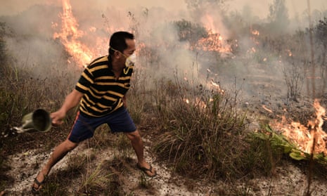 A villager tries to extinguish a peatland fire