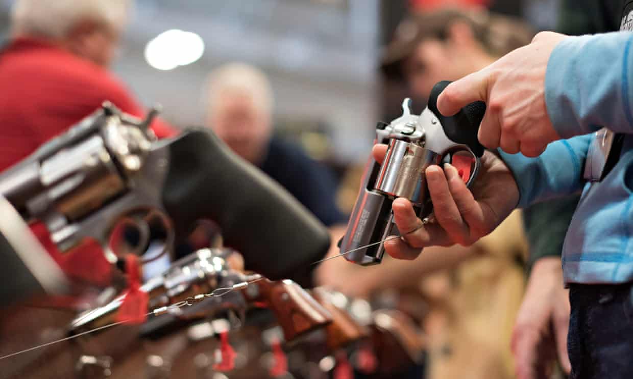 Fury over ‘reckless’ Tennessee bill that would class some gun owners as police (theguardian.com)