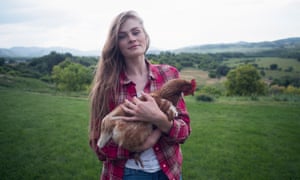 The domestic chicken population in the UK has been stuck at about 500,000 since 2010.