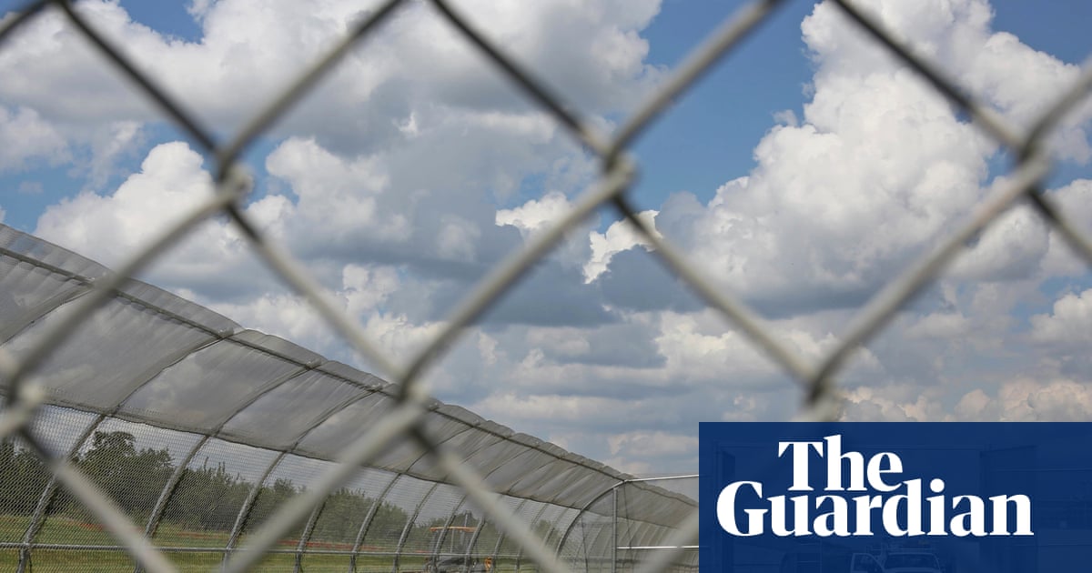 Courtroom sketch of the Trump DOJ trying to squeeze an entire protest into a single, legally dubious 'antifa terror cell' indictment.