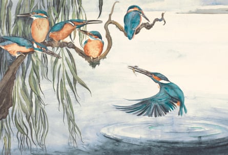 Kingfisher (1)-3 Illustration from the book The Lost Words
