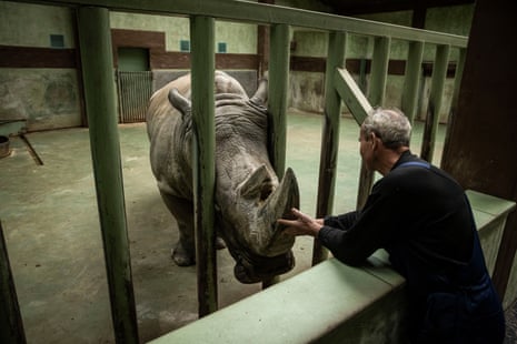A worker tends to a rhino in XII Misyatsiv Zoo in Demydiv, Ukraine. The animals have been traumatised from shelling in the early days of the war, and now as winter looms the zoo is relying on donations and improvised emergency heat generators to keep the animals warm.