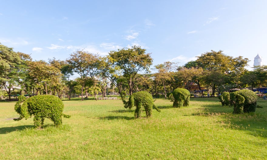 Topiary elephants in Lumphini park, Bangkok,