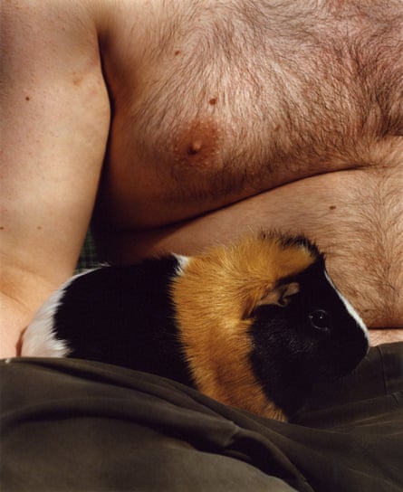 Matty shown only by his hairy chest with Bobby the guinea pig by Kuba Ryniewicz, from the Good Eggs series (2024-ongoing).