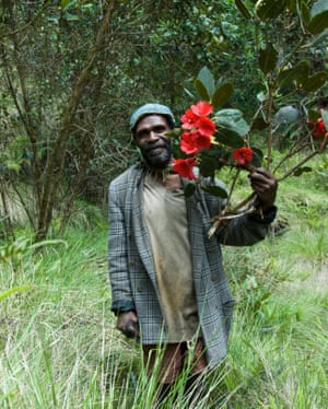 Um guia local com um rododendro em flor nas montanhas Cromwell da Papua-Nova Guiné.
