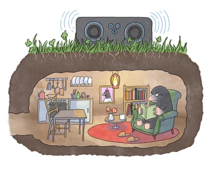 Mole illustration