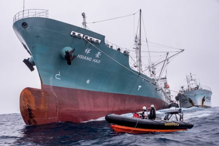 A Greenpeace inflatable boat observes as frozen tuna are transferred from one ship to another in the middle of the Atlantic Ocean.