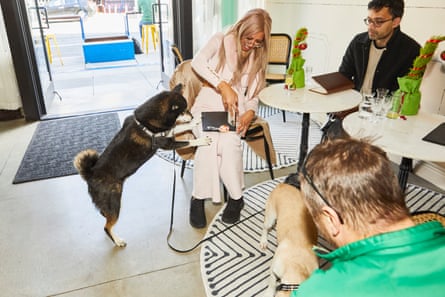 A group of human and dog friends try the tasting menu at Dogue, as a Christmas present.