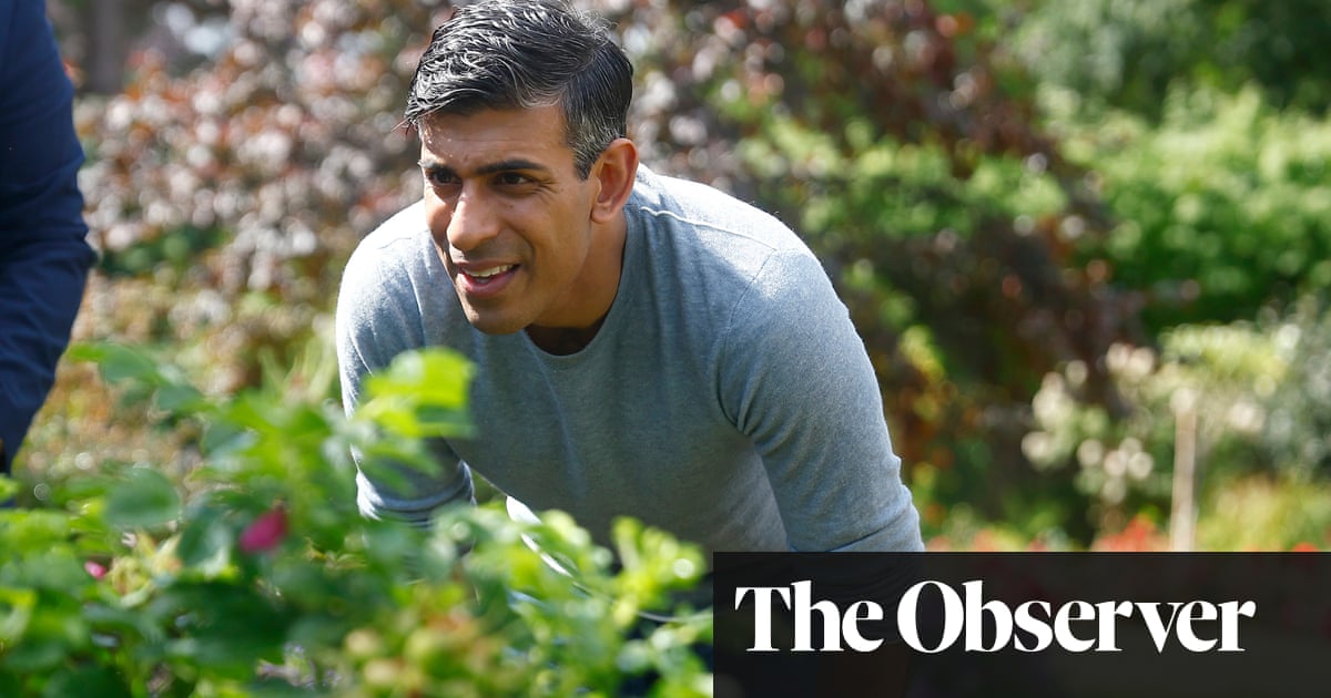 Rishi Sunak warned that Tories' key green pledges are 'unachievable'