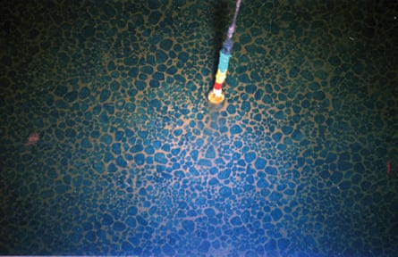 A bed of manganese nodules, deep offshore of the Cook Islands.