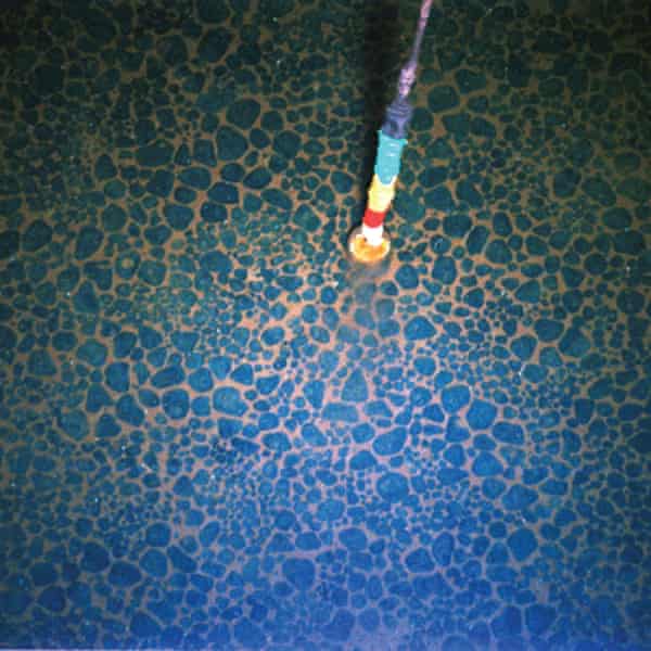 Manganese nodules on the seabed off the Cook Islands.