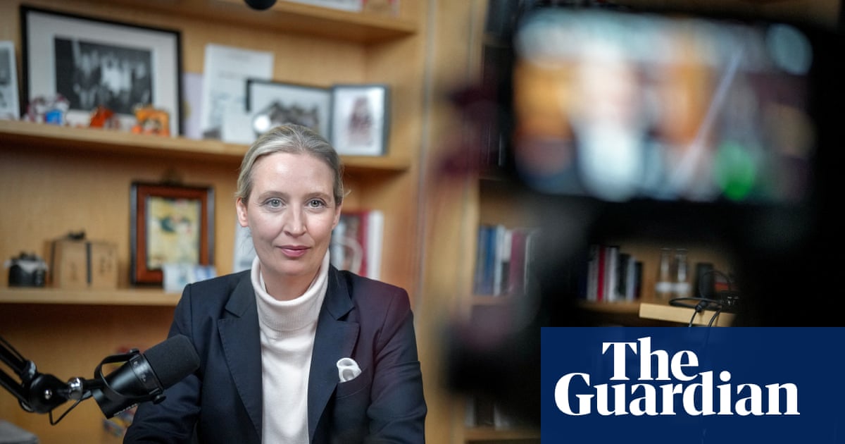 Elon Musk heaps praise on AfD’s Alice Weidel during live talk on X | Elon Musk | The Guardian