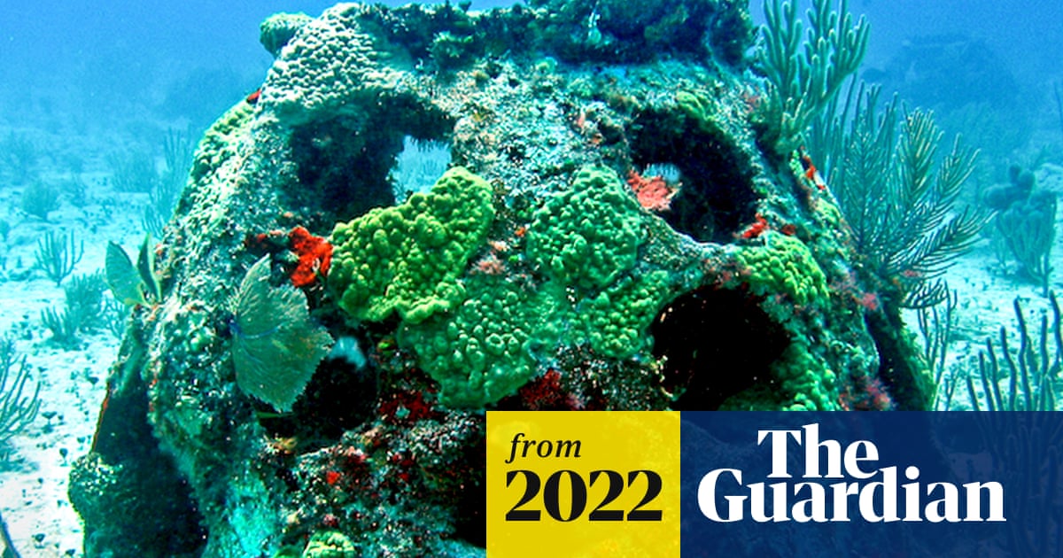 www.theguardian.com