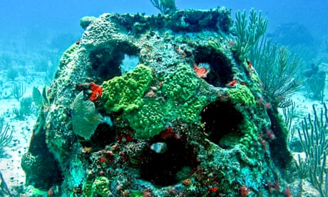 A reef ball encrusted with coral and plants