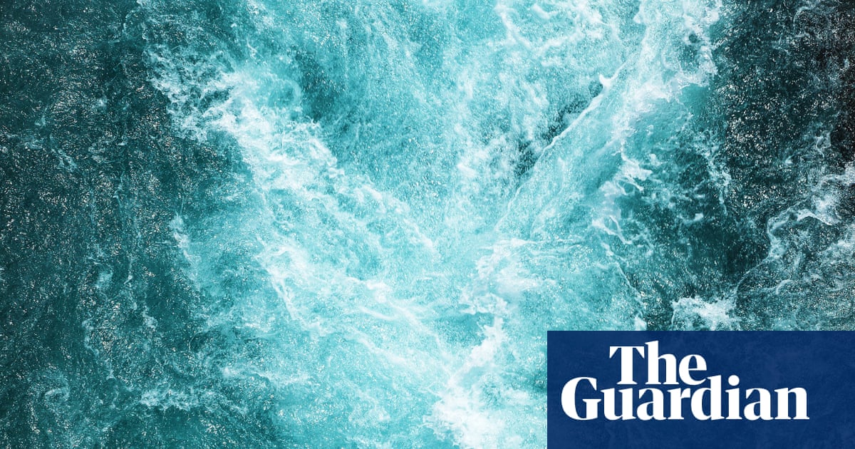 Is a River Alive? by Robert Macfarlane review streams of consciousness