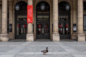A duck in a Paris street