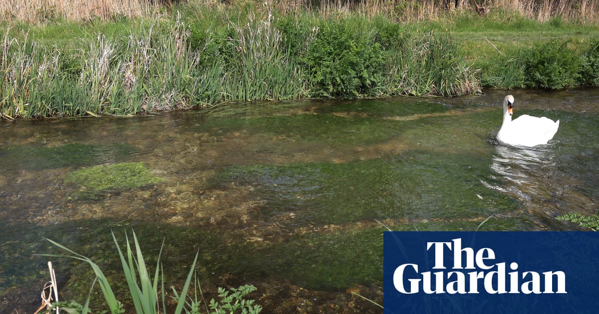 Labour using Brexit to weaken nature laws, MPs say