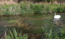 5000.jpg?width=220&dpr=1&s=none&crop=5%3A3