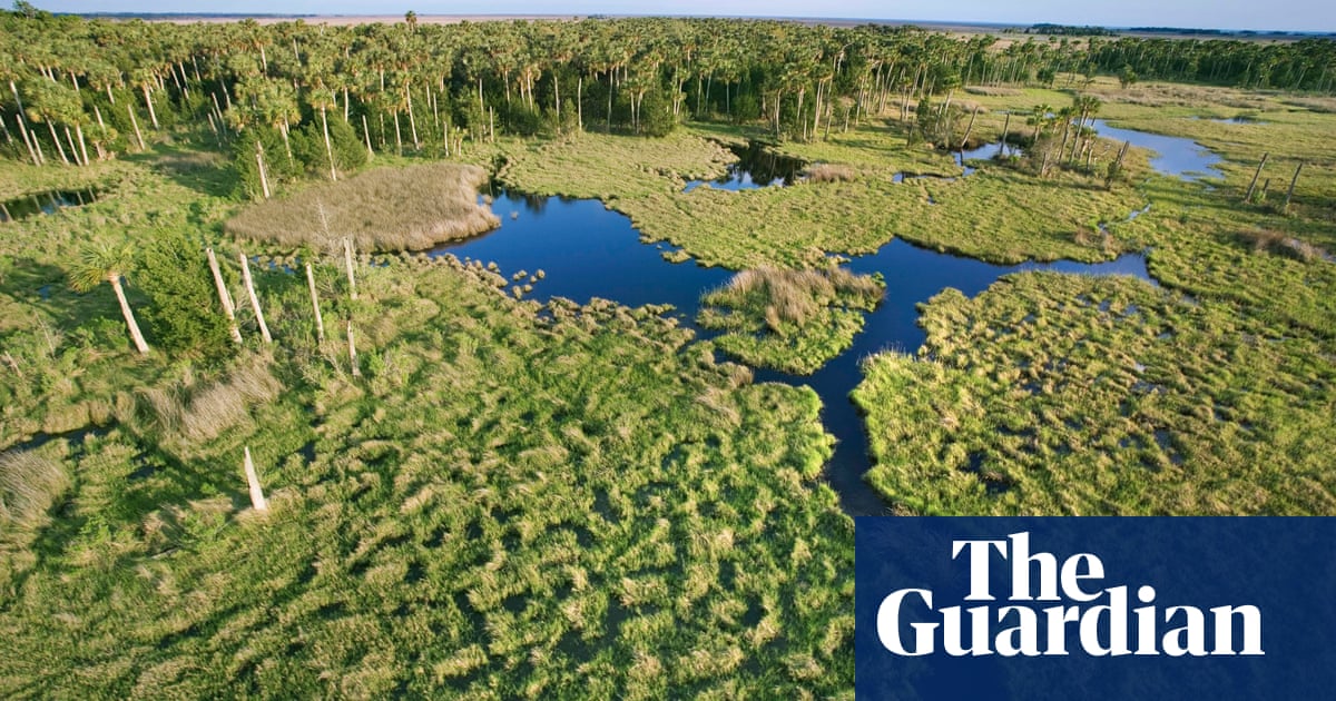 Streams and lakes have rights, a US county decided. Now they’re suing FloridaA novel lawsuit is taking advantage of a local ‘rights of natur...