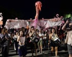 The Guardian view on the flamingo revolution: Albanians are standing up for their rights, as well as for nature | Editorial
