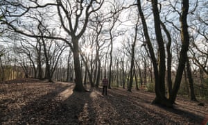 man in Sydenham Woods in winter