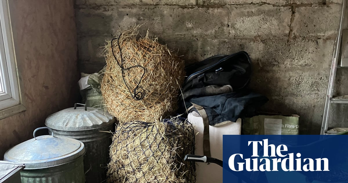 Country diary: Hay stocks are running low – this is the long tail of last year’s drought | Nicola Chester