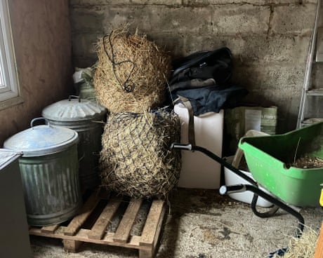 Country diary: Hay stocks are running low – this is the long tail of last year’s drought | Nicola Chester