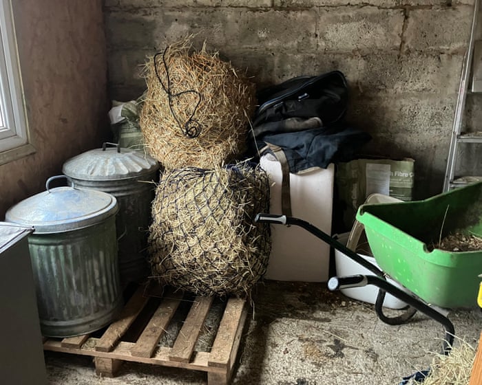 Country diary: Hay stocks are running low – this is the long tail of last year’s drought | Nicola Chester