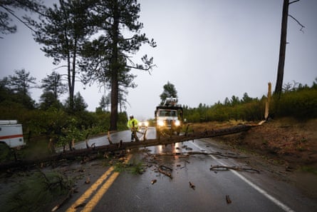 A large tree blocks a road as a worker in safety gear carries a chainsaw across the road.