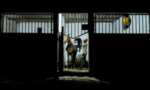 A stable boy saddles a horse before a night training session at Lambafar stable in Niaga