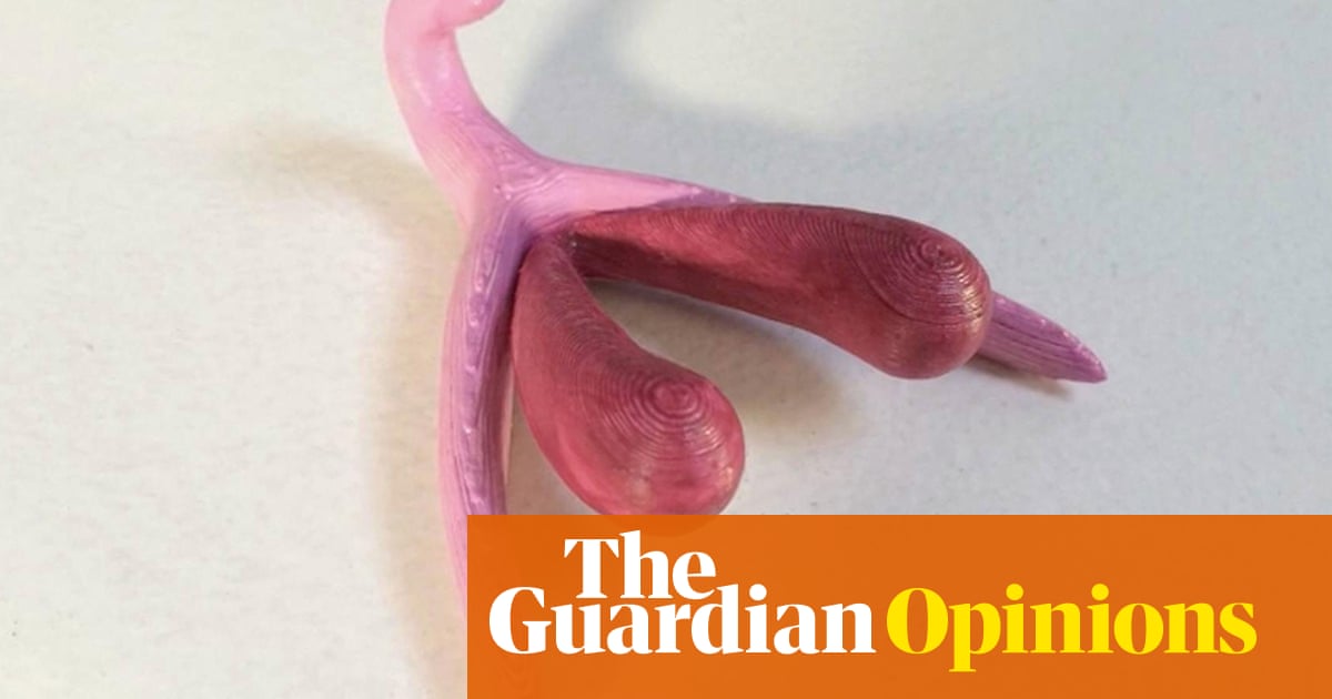 This is a 3D model of a clitoris and the start of a sexual revolution Minna Salami Opinion This is a 3D model of a clitoris and the start of a sexual revolution Minna Salami Opinion