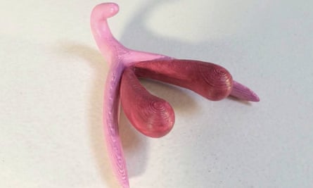 A 3D model of a clitoris
