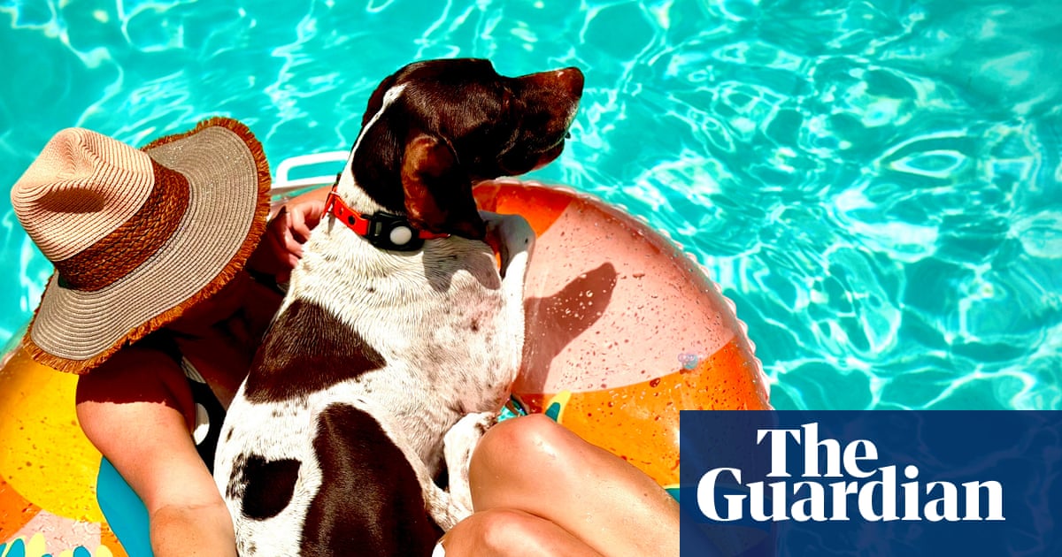 ‘The angle of the dog, the hat and the tattoo on her foot all come together’: Trace Meek’s best phone picture