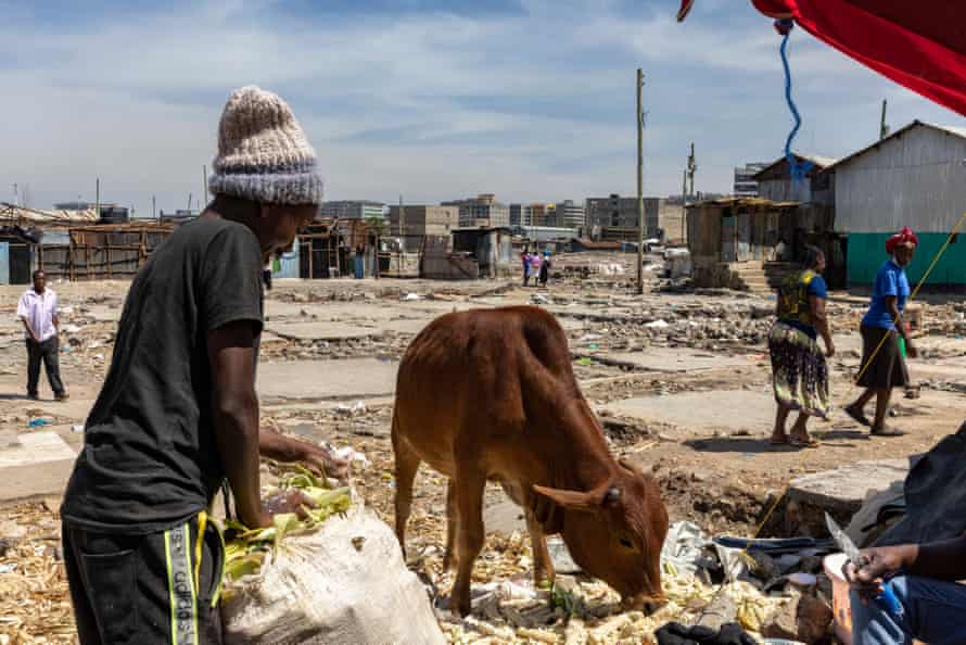 A man packs husks into a sack on the demolished site of Mukuru Kwa Njenga