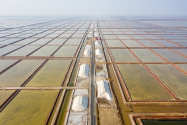 Salt fields in Shandong province