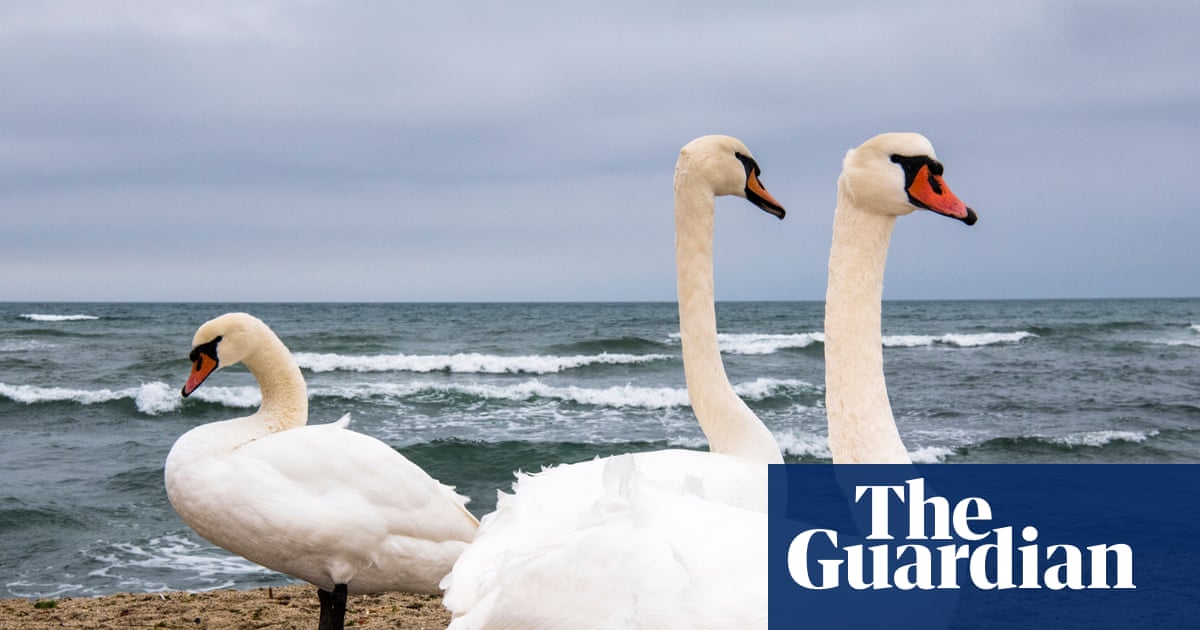 Three's a crowd: what to do when you hate your friend's partner