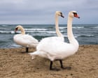Three’s a crowd: what to do when you hate your friend’s partner
