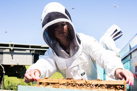Sera Grubb of Mana Kai Honey working the hives