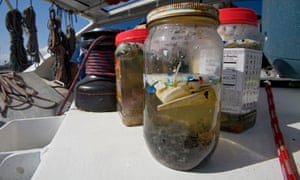 Scientists in Long Beach, California, studying the effects of oceanic microplastic pollution on the ecosystem.