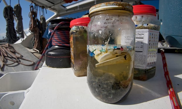 Scientists in Long Beach, California, studying the effects of oceanic microplastic pollution on the ecosystem.