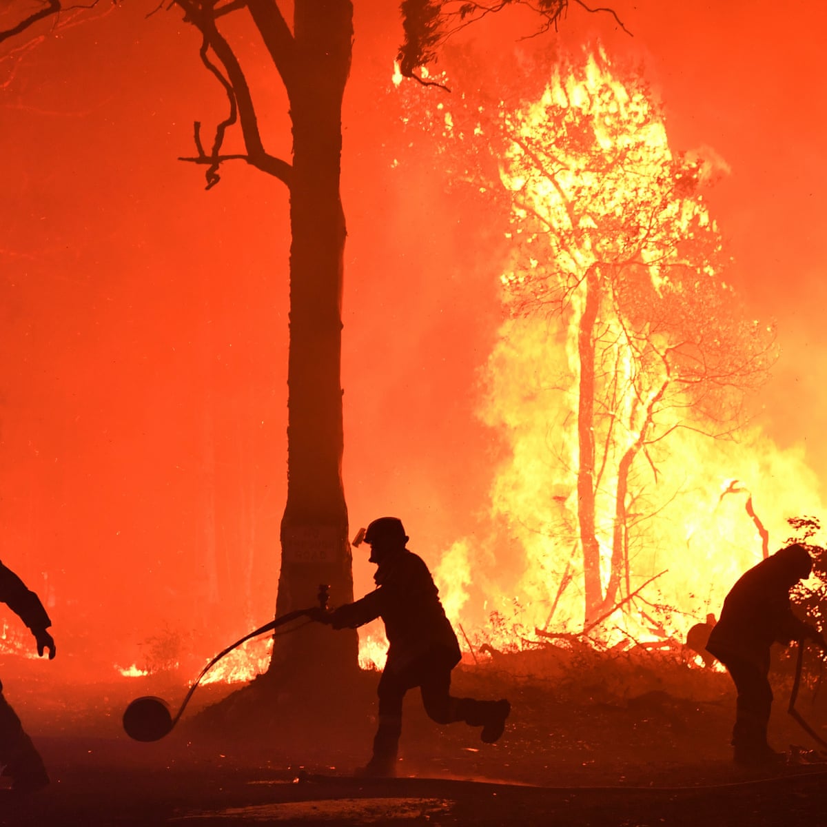 Australian Bushfires The Canary Building The Coal Mine Environment All Topics From Climate Change To Conservation Dw 10 01 2020