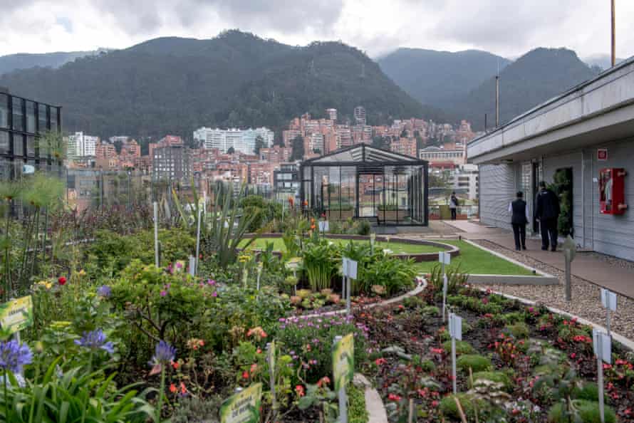 A garden on the terrace of a building