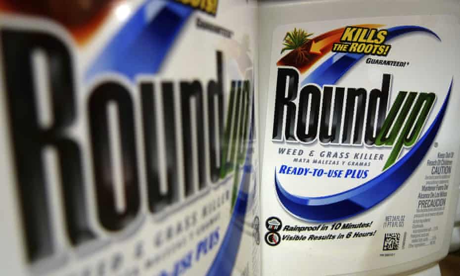 Bottles of Roundup herbicide, a product of Monsanto. Findings come as regulators in several countries consider limiting the use of glyphosate-based products in farming.