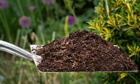How to Compost, According to Gardening Experts - The New York Times