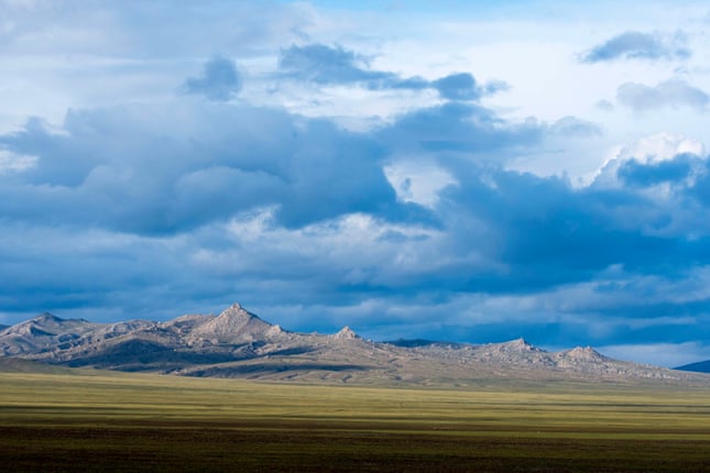 Hustai national park is just 100km from Mongolia’s capital, Ulaanbaatar