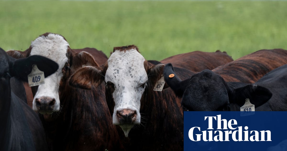 Trump faces backlash from Republicans over plan to lift tariffs on beef imports