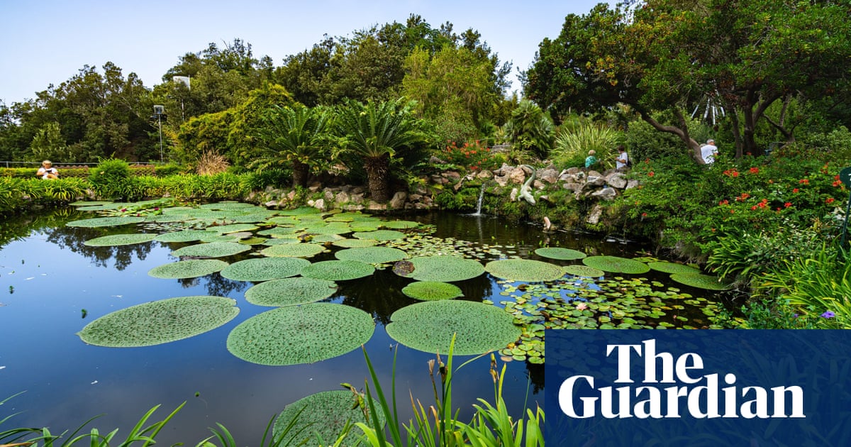 ‘I’ve never seen lily pads so big’: readers’ favourite gardens in Europe ‘I’ve never seen lily pads so big’: readers’ favourite gardens in Europe